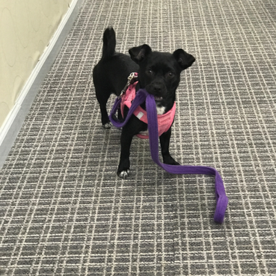 Profile Picture of Steve LaMarca (@lamarca_mags) on Twitter