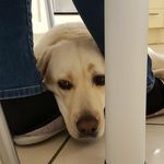 Profile Picture of Isabelle Marzec Robert (@isabelle.robert5959) on Instagram