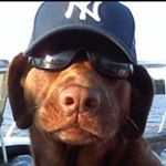 Profile Picture of Jeff Gamble (@jeff.gamble.3) on Instagram