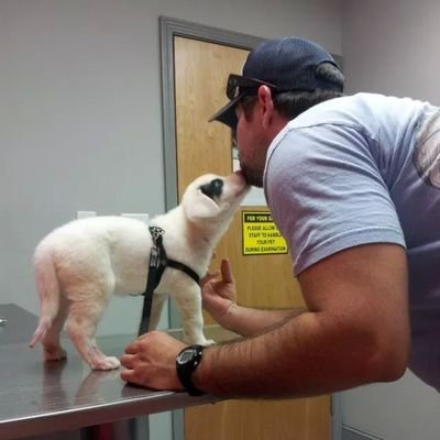 Profile Picture of Kevin Blanco (@KevinJBlanco) on Twitter