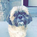 Profile Picture of Sasha Bradley (@saussy_sasha) on Instagram