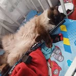 Profile Picture of Alex Turov (@Alex-Turov) on Facebook