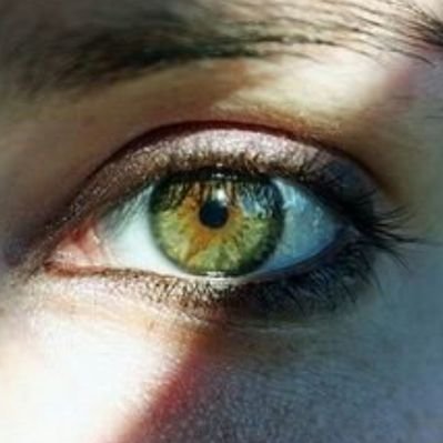 Profile Picture of Bash  🐉 (@bash_scott_owl) on Twitter
