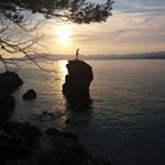 Profile Picture of alex vestering (@alex.vestering) on Instagram