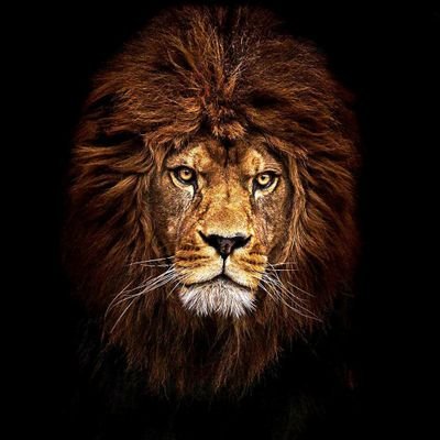 Profile Picture of Stephen Tolliver (@StephenTollive4) on Twitter