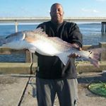 Profile Picture of 686868adf (@tonyfussell68) on Instagram