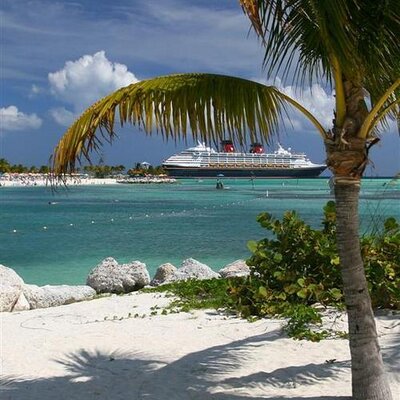 Profile Picture of Amy Jacob (@@Tropicalfun) on Twitter