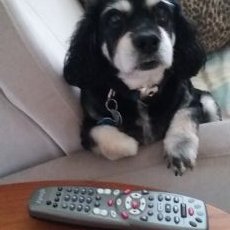 Maria Gorski - Twitter Profile Picture of Maria Gorski (@gorski_maria) on Twitter