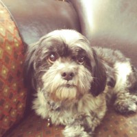 Kris Ayala - Quora Profile Picture of Kris Ayala (@kris-ayala-1) on Quora