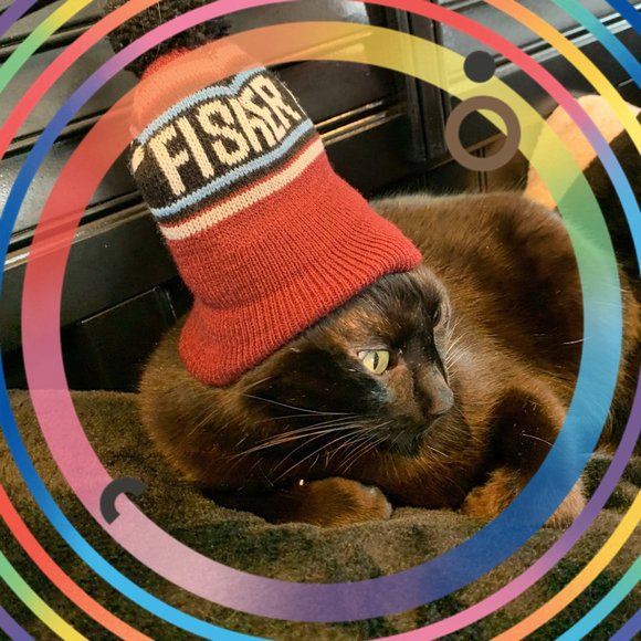 Profile Picture of Eric Granato (@granato801) on Poshmark