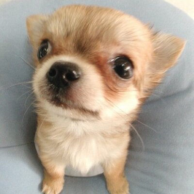 Wilson Sun - Twitter Profile Picture of Wilson Sun (@Wilsonsun7788) on Twitter