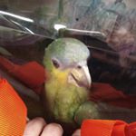 Profile Picture of michael vondracek (@vondracekmichael) on Instagram