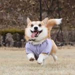 Profile Picture of Jalyn Gonzalez (@jalyn_gonz) on Instagram