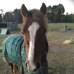 Profile Picture of Shayla (@hanson_forlife) on Instagram