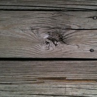 Profile Picture of Adam Cowles (@adam-cowles-7) on Quora