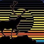 Profile Picture of Jason Gehring (@devskiciaoo) on Instagram