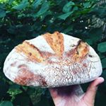 Profile Picture of McKenzae Bartels 👩🏻‍🍳 (@cledoughbabe) on Instagram