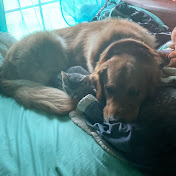 Profile Picture of Adam Brown (@AdamBrown-gm4be) on Youtube