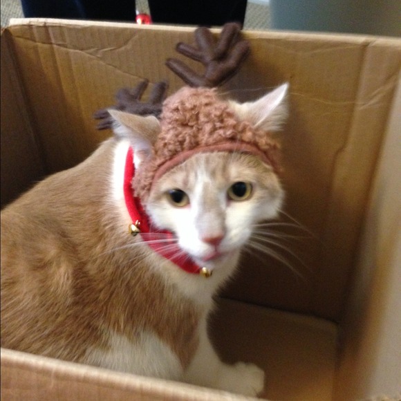 Profile Picture of Emily Bridenthal (@ejgidget) on Poshmark