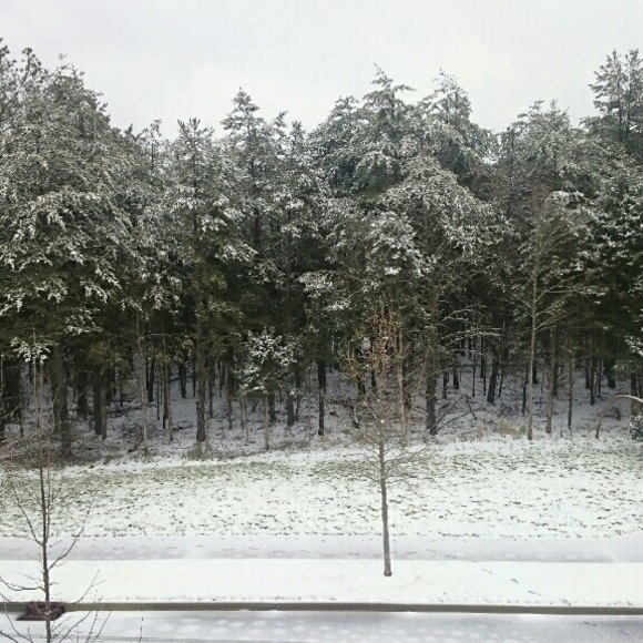 Profile Picture of Lydia Placide (@jennell4327) on Poshmark