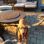 Ryan Marcott - Instagram Profile Picture of Ryan Marcott (@rmarcott1) on Instagram