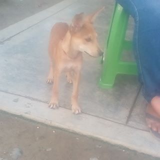 Profile Picture of Norma Casio (@norma.casio.3) on Facebook