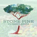 Profile Picture of Lisa McNicol Forehand (@stonepineconsulenza) on Instagram