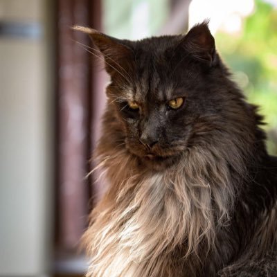 Profile Picture of Another Side (@MikeUzzi) on Twitter