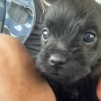 Profile Picture of Omauntee Huckaby (@Omauntee-Huckaby) on Facebook