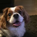 Profile Picture of Joanne Clay (@clay914) on Instagram
