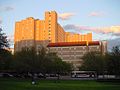 Profile Picture of Jester Center - Wikipediaon Wikipedia