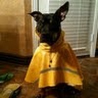 Profile Picture of Mike Suh (@mike-suh-3) on Quora