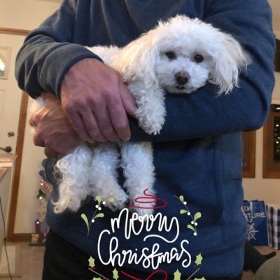 Profile Picture of Nick DeCoster (@NickyD1010) on Twitter