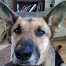 Profile Picture of Kris Wittman (@kriswittman) on Twitter