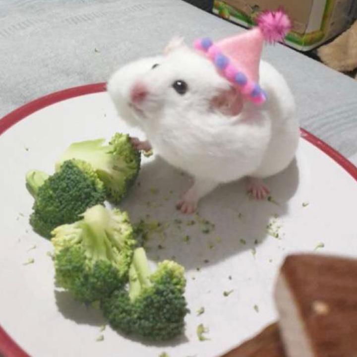 Profile Picture of Ralph.barba (@ralph_barba) on Tiktok