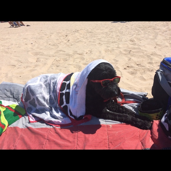 Profile Picture of Cole Keller (@keller_cole14) on Poshmark