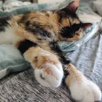 Profile Picture of A Doherty (@alanas.dslr.adventure) on Instagram