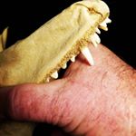 Profile Picture of James Garrett Majcher (@dogztoothstudio) on Instagram