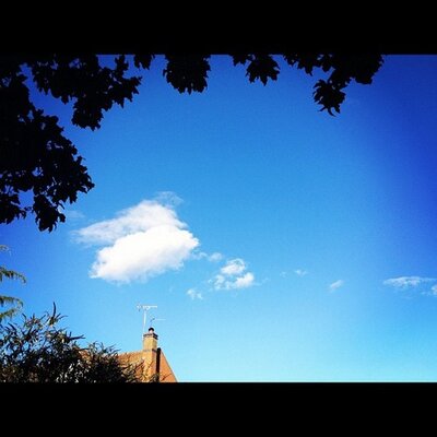 Profile Picture of Wilton Robert (@@WiltonRobert485) on Twitter