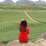 Profile Picture of Nguyen Quynh (@Soc Koy) on Flickr