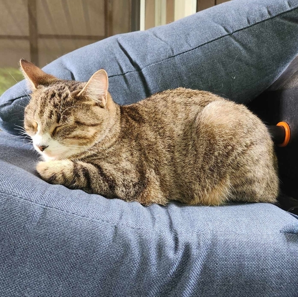 Profile Picture of Lydia Gradowski (@gradowskilydia) on Poshmark