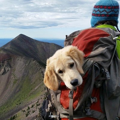 Profile Picture of David Danker (@dwdanker) on Twitter