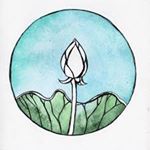 Profile Picture of Donna Scro (@donnascro) on Instagram