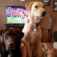 Profile Picture of Donna Devlin (@donna-devlin-20) on Quora