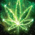 Paul  Nehls - Instagram Profile Picture of Paul  Nehls (@paul.neg) on Instagram