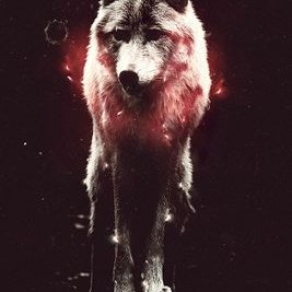 Profile Picture of Isaiaha Clairbush (@isaiahaclairbu1) on Twitter