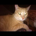 Profile Picture of mikelusk (@mikelusk) on Instagram