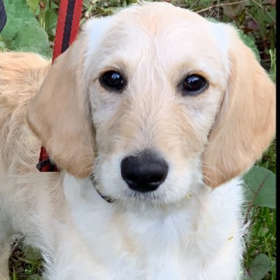 Profile Picture of Jacob Willoughby (@JacobWi99240234) on Twitter