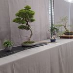 Profile Picture of Belin David (@belin.david) on Instagram