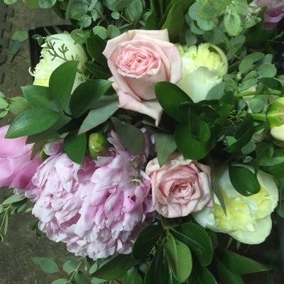 Profile Picture of Greene Ivy Florist (@GreeneIvy) on Twitter